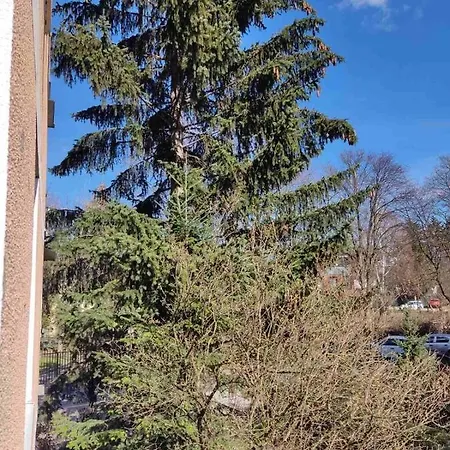 Two Bedroom - Adelko *